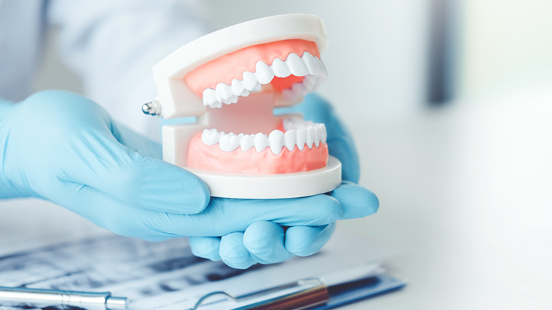 Diş Hekimliği Öğrencileri İçin En Önemli 5 Ürün!