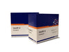 IONOFIL Voco Cam İyonomer Dolgu